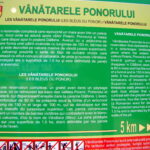 Vânătările Ponorului, fenomen carstic în Munții Trascăului