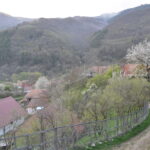 Vidolm, la poalele Munților Trascăului
