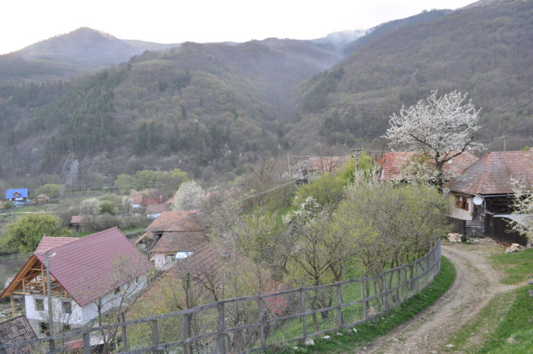 Vidolm, la poalele Munților Trascăului