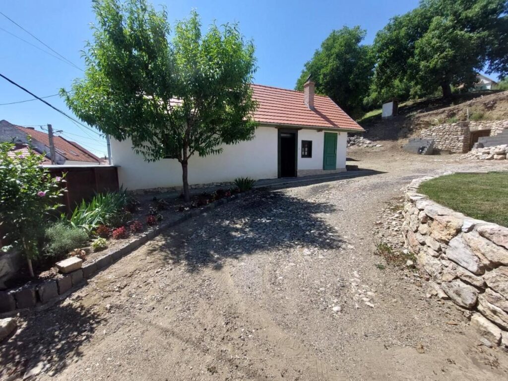 Casa Felix — curtea casei